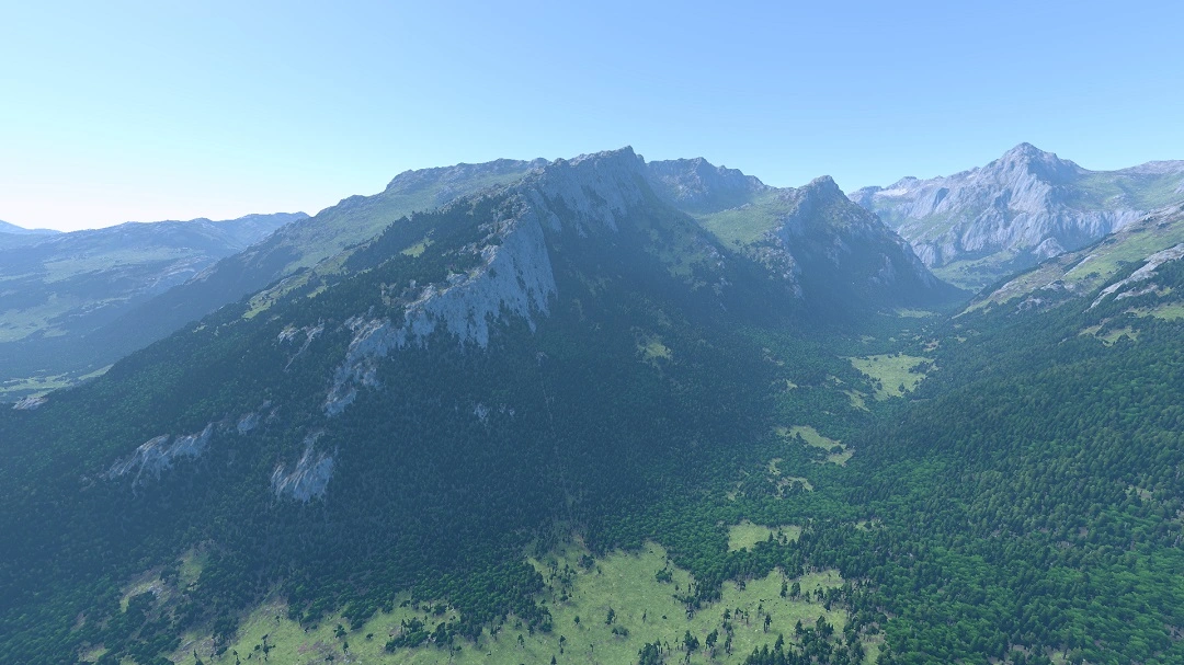 Rendering dense and distant forests with ray-casting
